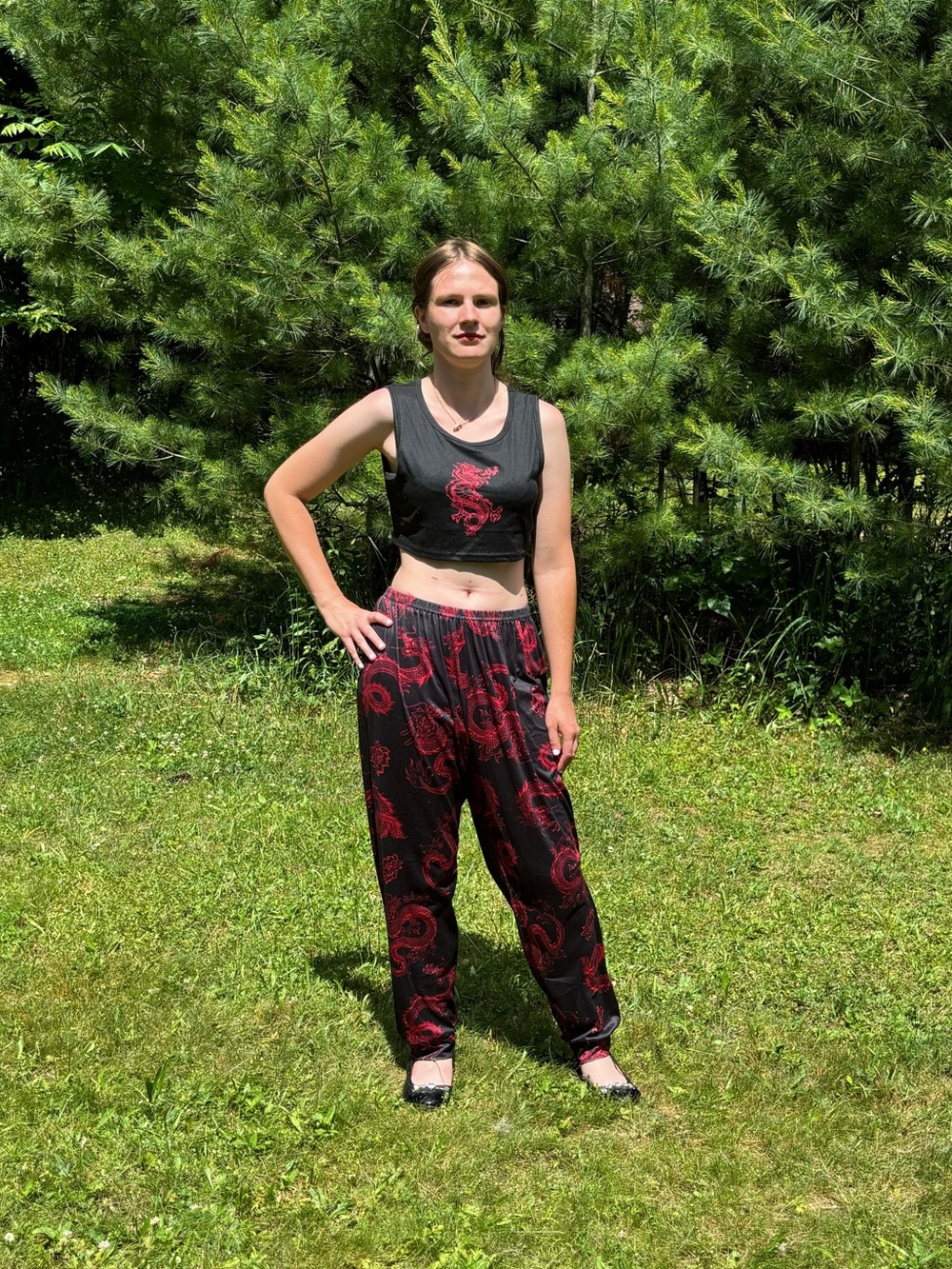 SHEIN Dragon Pants